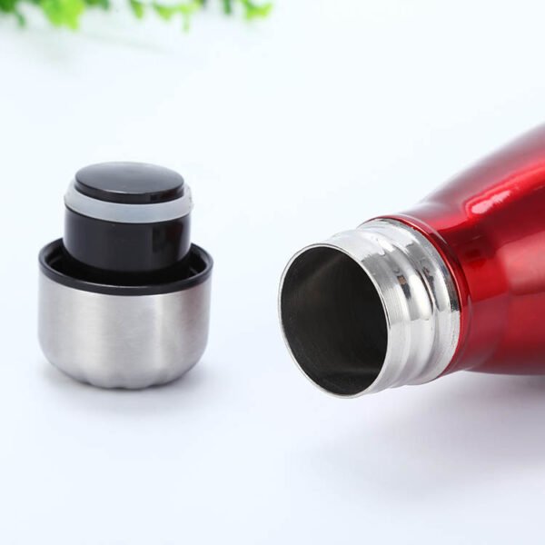 Double-Layer Water Bottle - Image 3
