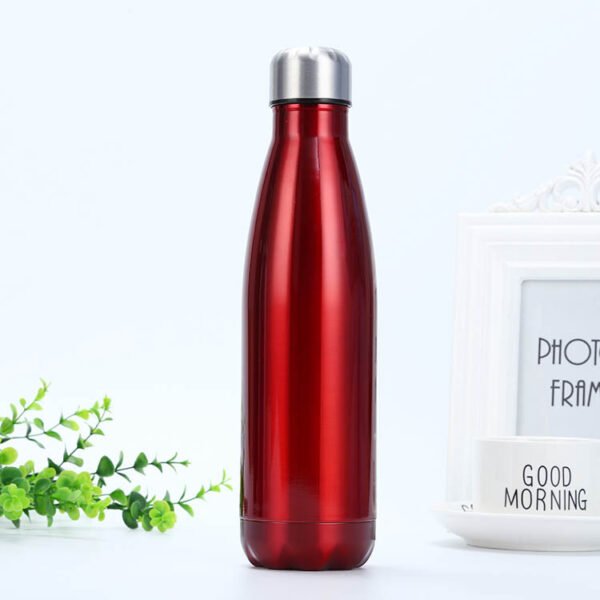 Double-Layer Water Bottle