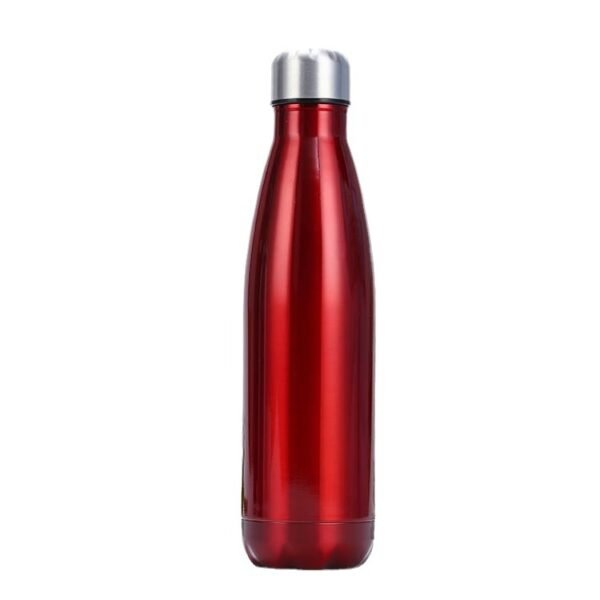 Double-Layer Water Bottle - Image 6